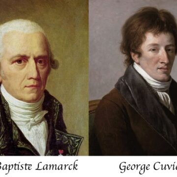lamarck cuvier1 The Most Influential People in the Winter Fashion Industry