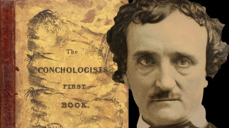 conchologistandpoe Έντγκαρ Άλλαν Πόε ΚΑΙ ΒΙΟΛΟΓΙΑ