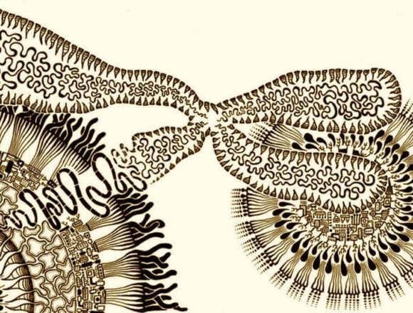 epicmolbio (1) (1) Μια, εν πολλοίς, άγνωστη εποποιία