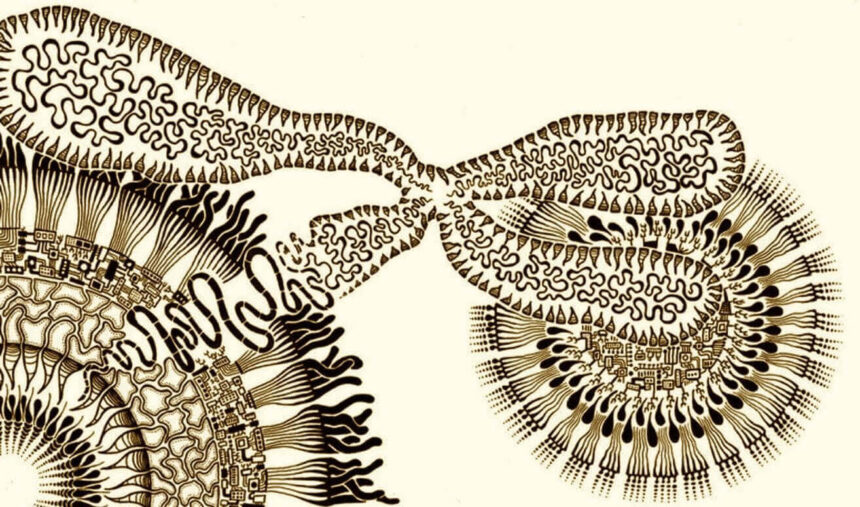 epicmolbio (1) (1) Μια, εν πολλοίς, άγνωστη εποποιία