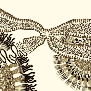 Μια, εν πολλοίς, άγνωστη εποποιία