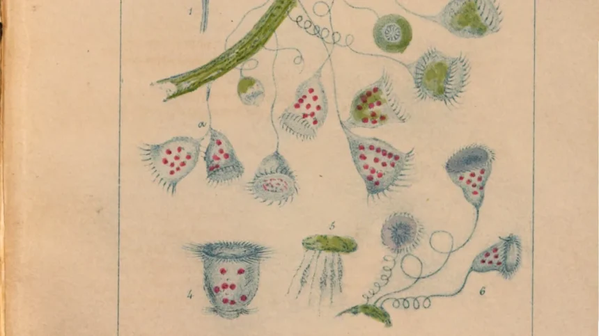 Ο αόρατος κόσμος