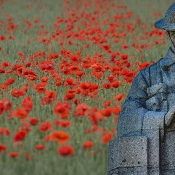 Οι θλιμμένες παπαρούνες της Φλάνδρας